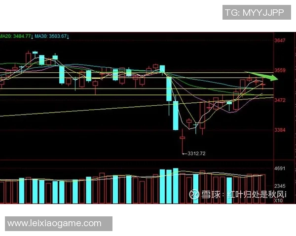 广州羽毛球队与重庆羽毛球队赛后复盘分析比赛节奏与战术对比