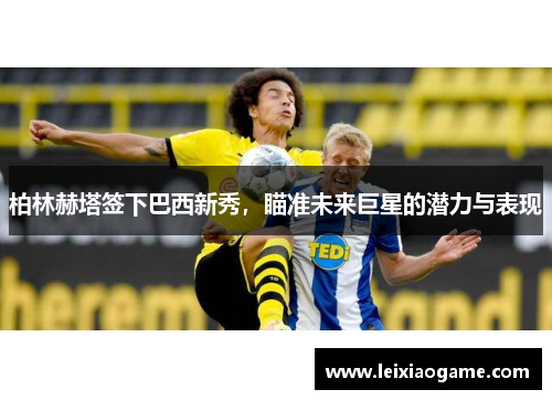 柏林赫塔签下巴西新秀，瞄准未来巨星的潜力与表现